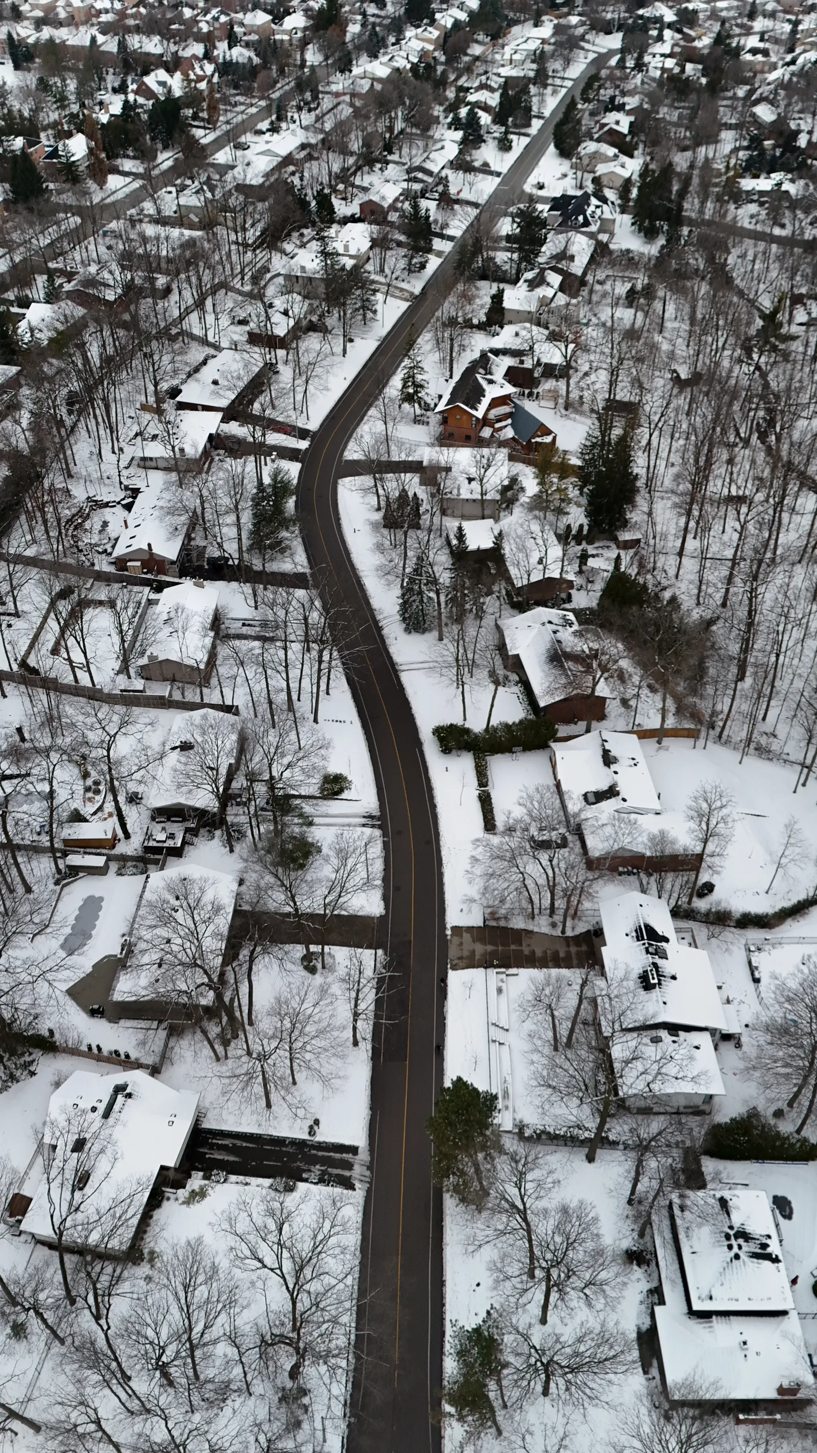 Robin Drive at Christmas, Mississauga, Canada